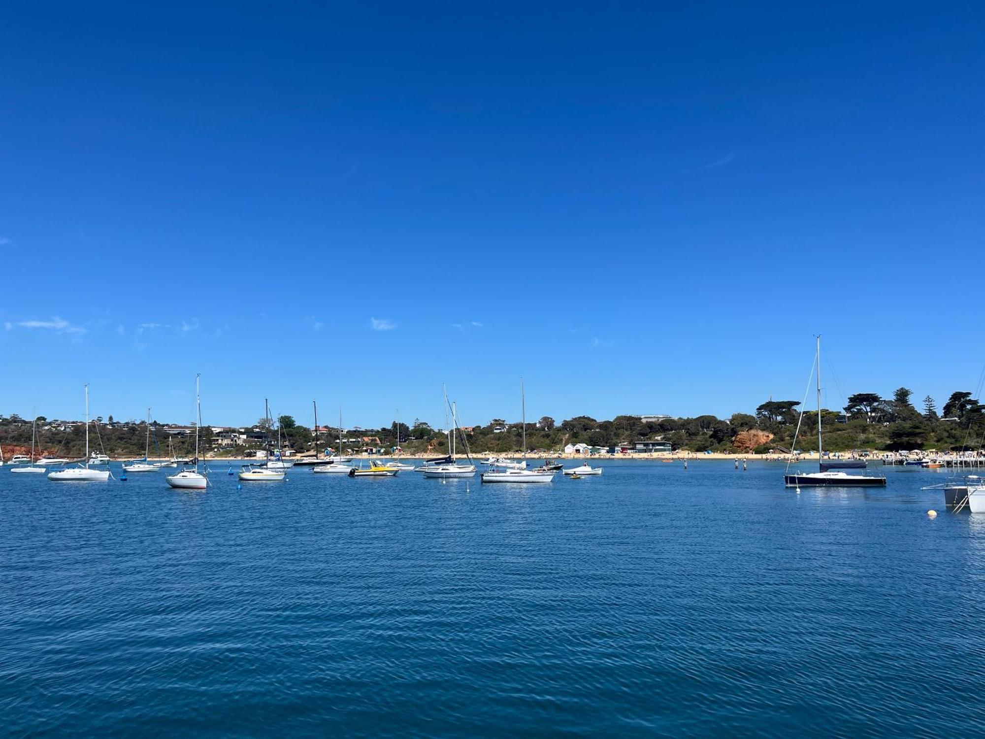 Charlie Sweet Home At Mornington Peninsula Mount Martha Exterior photo